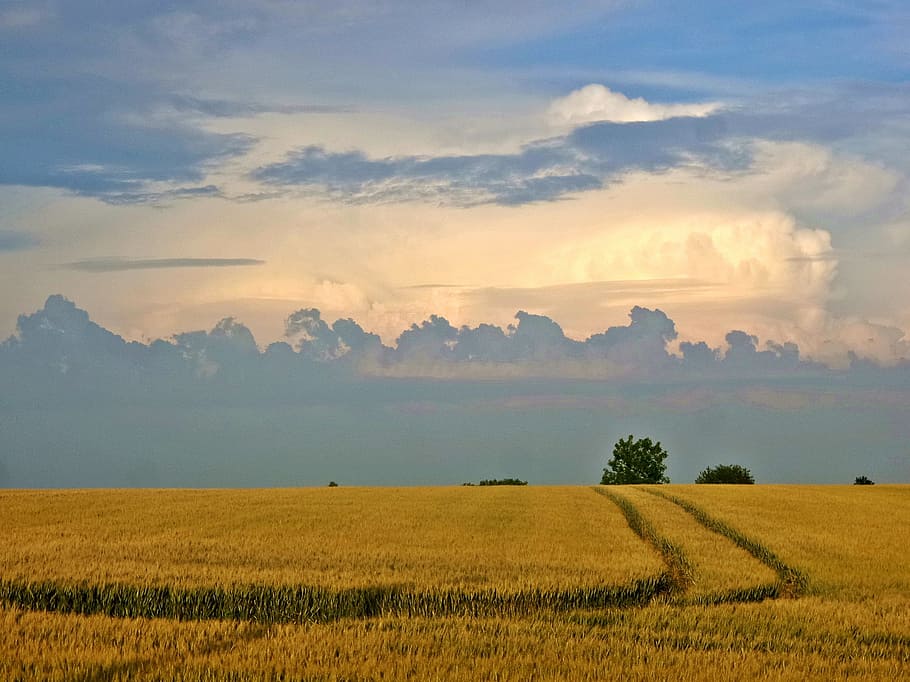 Sky, Clouds, Landscape, Sunset, landscape sunset, field, agriculture HD wallpaper