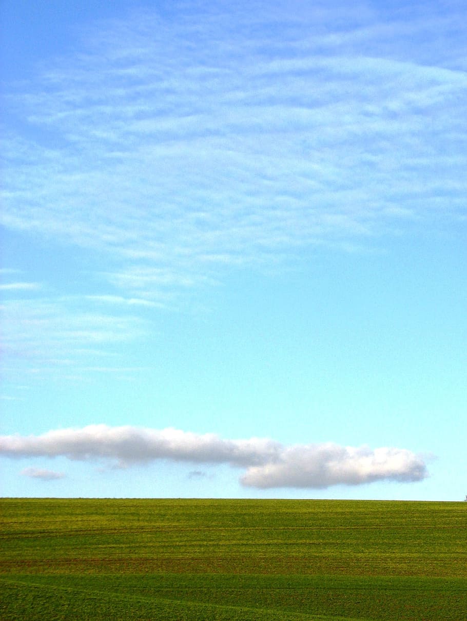field, meadow, cloud, landscape, sky, grass, summer, blue, green HD wallpaper