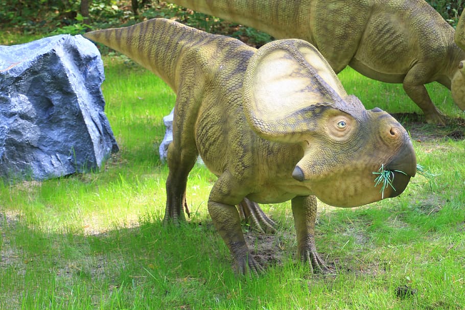 dinosaur, grass, statue, park, animal, animal themes, field HD wallpaper