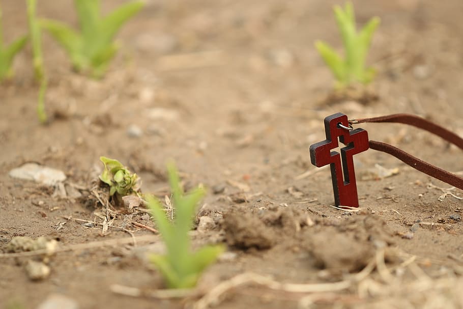 brown cross pendant on brown soil next to green grass, love, confidence