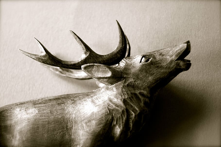 closeup photo of buck figurine, animal, forest, hirsch, antler HD wallpaper