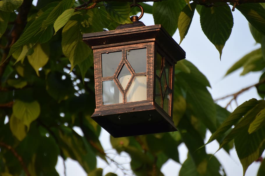 Lampion, Candle, Light, Tree, candle light, time, clock, low angle view HD wallpaper