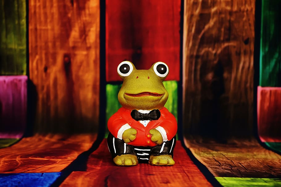 frog, figure, funny, suit, cute, decoration, green, colorful HD wallpaper