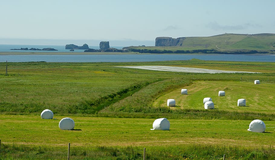iceland, cliffs, vik, prairie, agriculture, farm, nature, field HD wallpaper