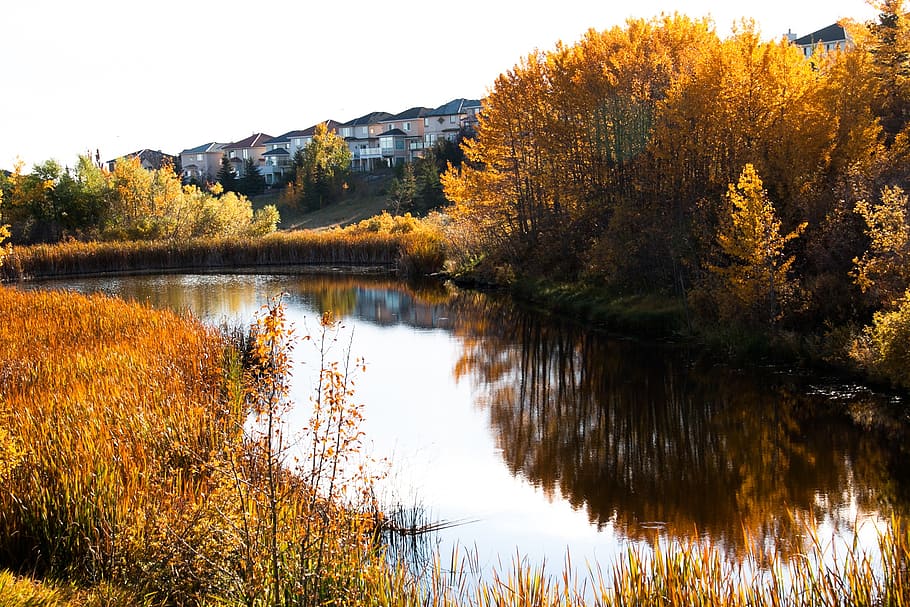 canada, fall, valley, river, water, reflection, plant, tree HD wallpaper