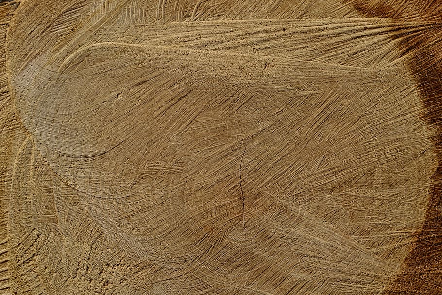 untitled, log, structure, wood, macro, close, tribe, strains HD wallpaper