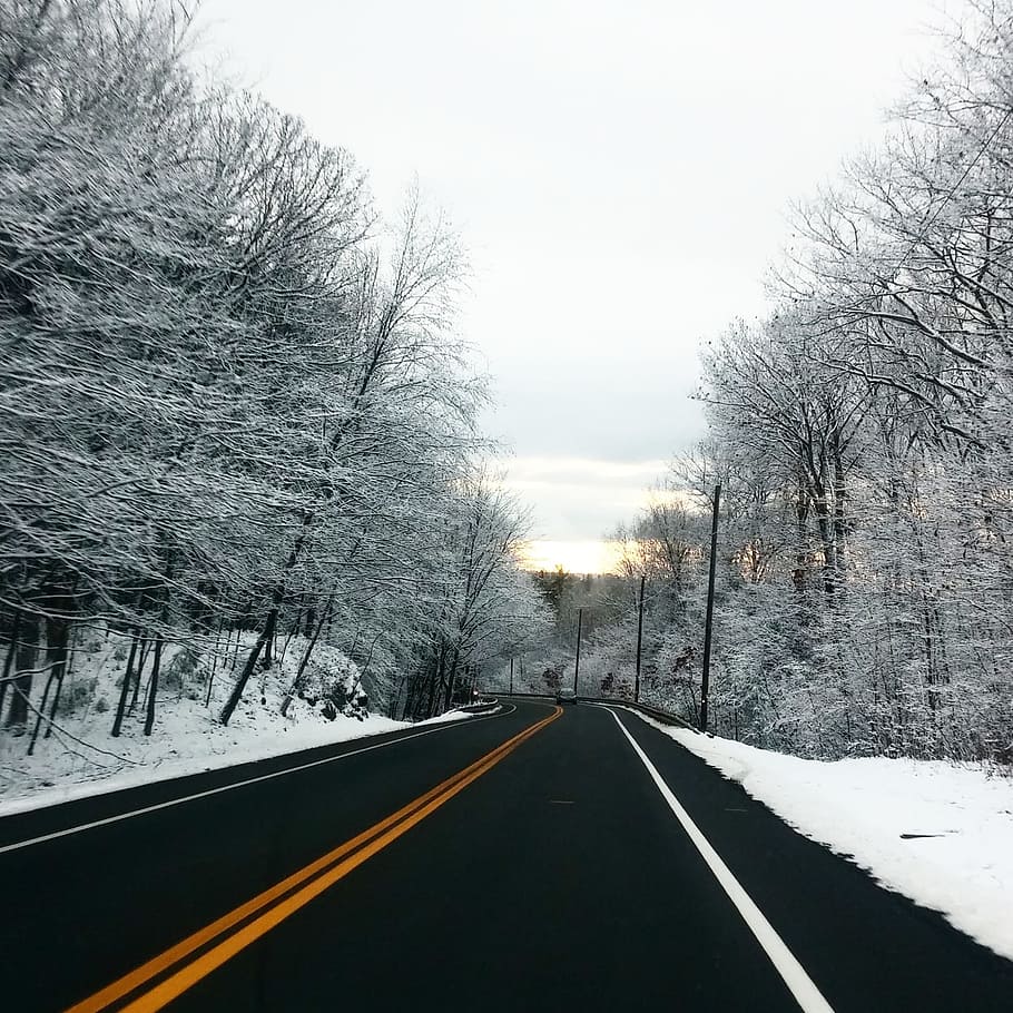 road, path, tree, branches, plant, nature, snow, winter, cold HD wallpaper