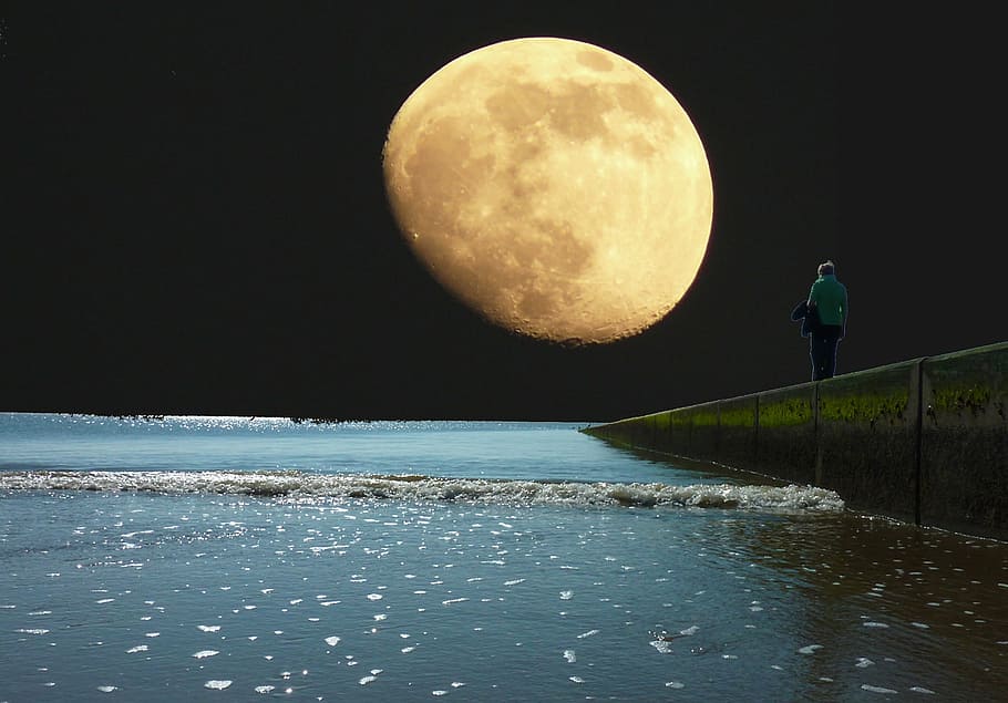 person near body of water during full moon, sea, evening, night HD wallpaper