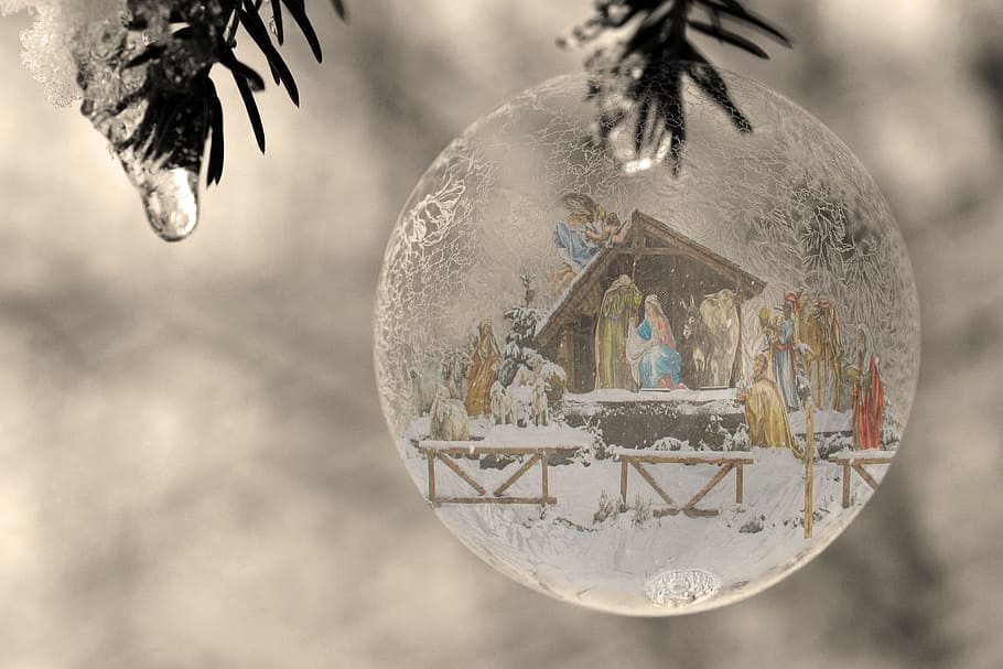 winter, tree, nature, crib, christmas, sphere, sky, close-up HD wallpaper