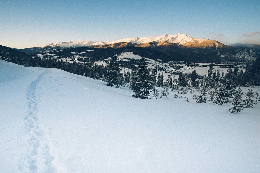 snow coverd mountains during daytime, foot trail on snow covered terrain HD wallpaper