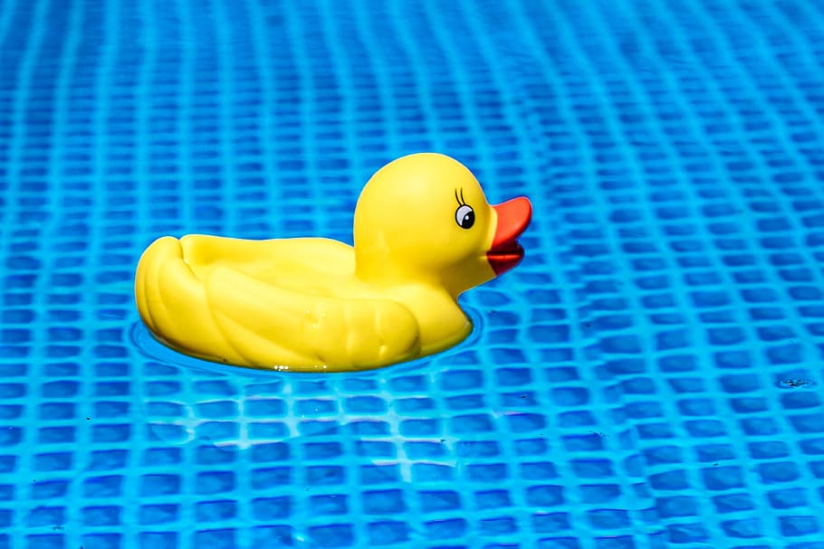 yellow rubber ducky floating on clear water, summer, warm, beach HD wallpaper