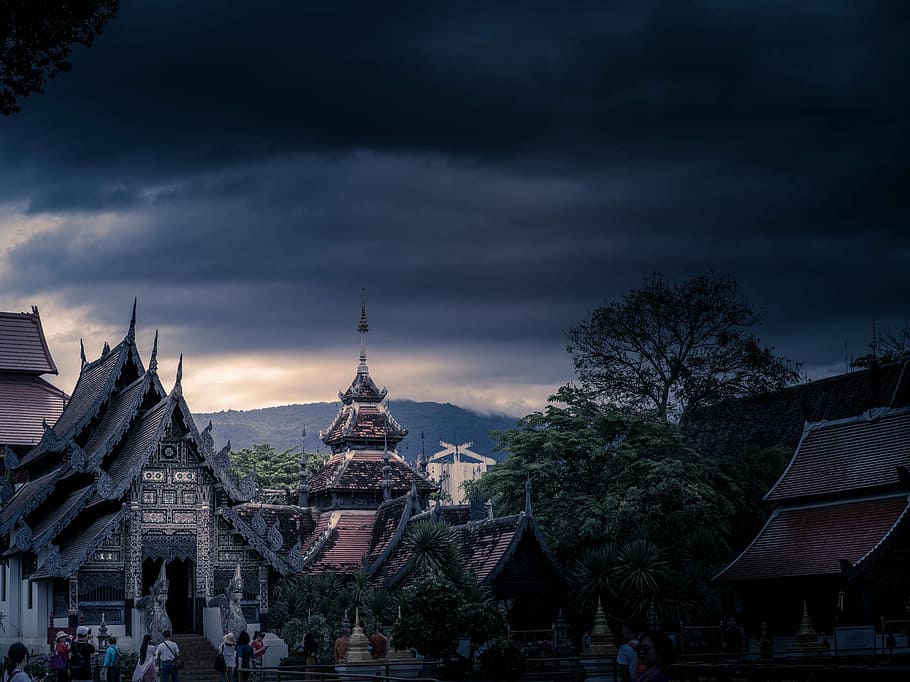 brown and black Asian temple, gray concrete building near green leafed tree HD wallpaper
