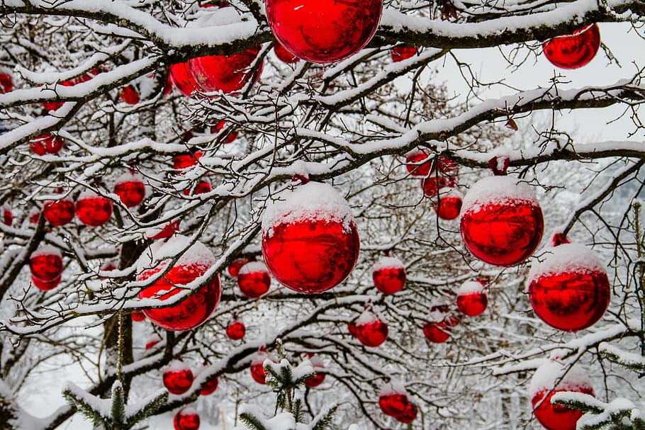 red bauble lot, christmas, winter, tree, snow, balls, tree decorations HD wallpaper