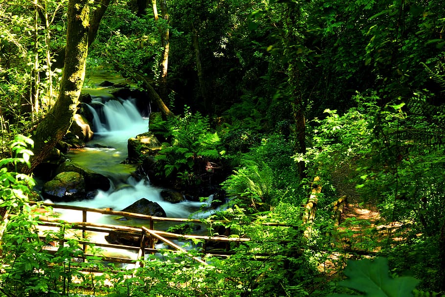 Cascade, Sever, Vouga, Forest, cabreia, long exposure, nature HD wallpaper