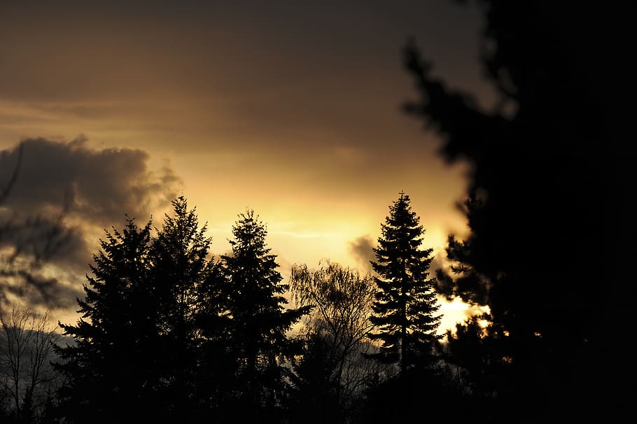abendstimmung, evening, sunset, clouds, sky, dusk, mood, landscape HD wallpaper