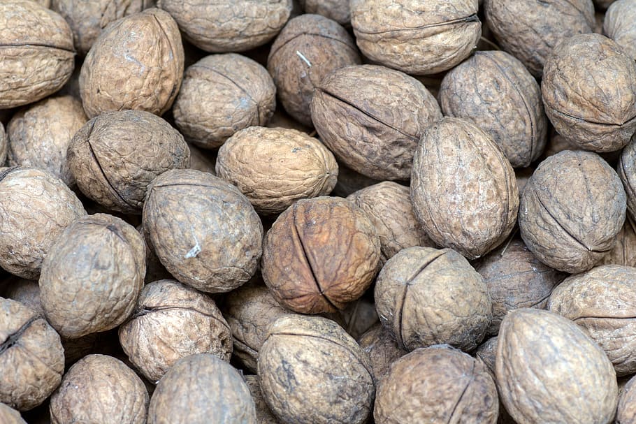 walnuts, close, fruit bowl, food, organic, healthy Eating, backgrounds HD wallpaper