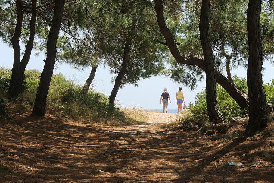 nature, summer, vacation, tree, plant, real people, lifestyles HD wallpaper