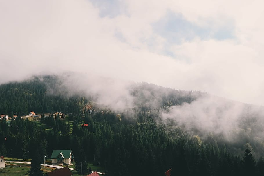 fog, aerial view, clouds, hill, foggy, mist, scenic, mountain HD wallpaper