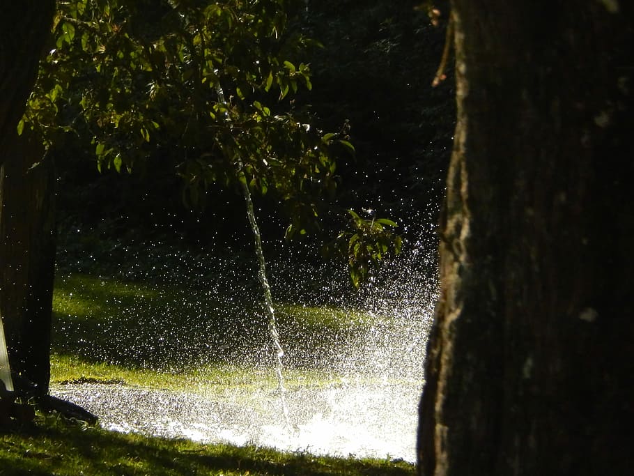 Water, Waterfall, Source, Forest, cascade, motion, no people HD wallpaper