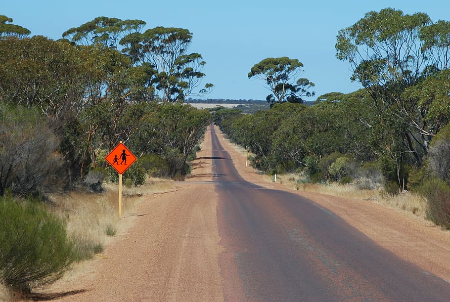outback, road, australia, traffic, holiday, tourism, plant HD wallpaper