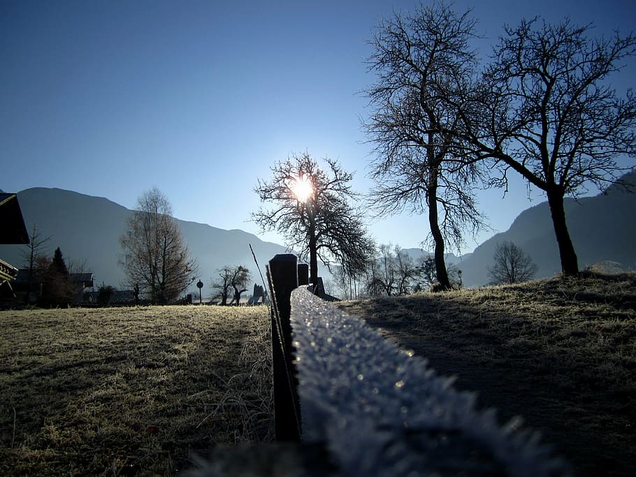 wintry, white, snow, cold, winter, winter dream, trees, nature HD wallpaper