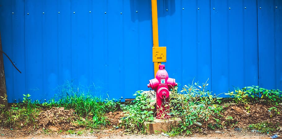 fire hydrant, grass, leaf, soil, blue, nature, representation HD wallpaper