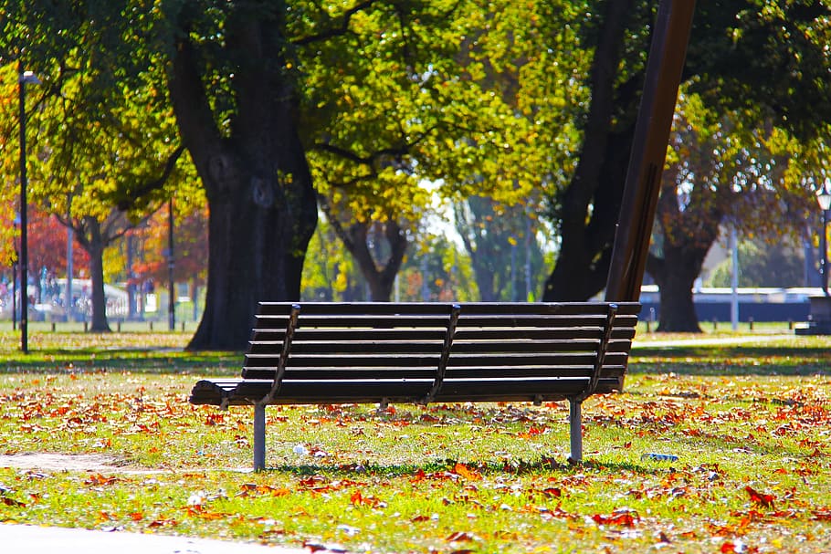 gray wooden bench, blue, sky, city, autumn, beautiful, love HD wallpaper