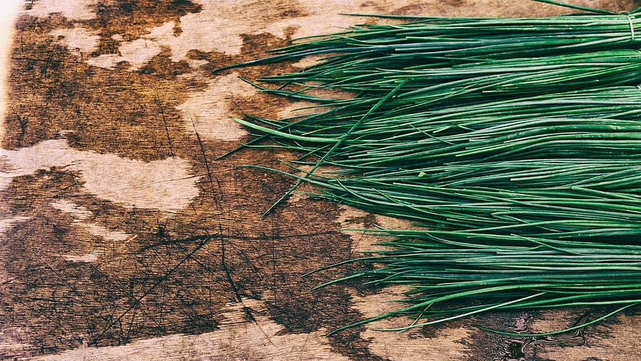 Fresh chives 1080P, 2K, 4K, 5K HD wallpapers free download | Wallpaper