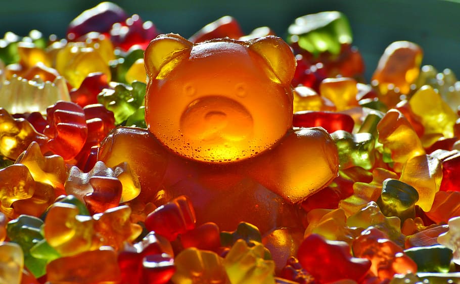 assorted-color gummy bears, giant rubber bear, gummibär, gummibärchen