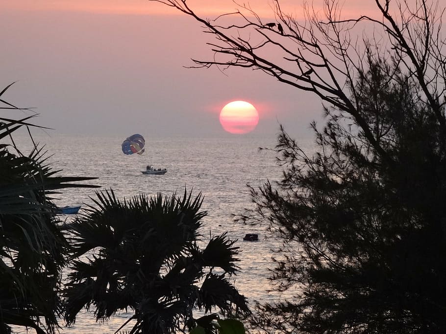 sunset, beach, sea, ocean, water, clouds, sky, goa, india, tree HD wallpaper