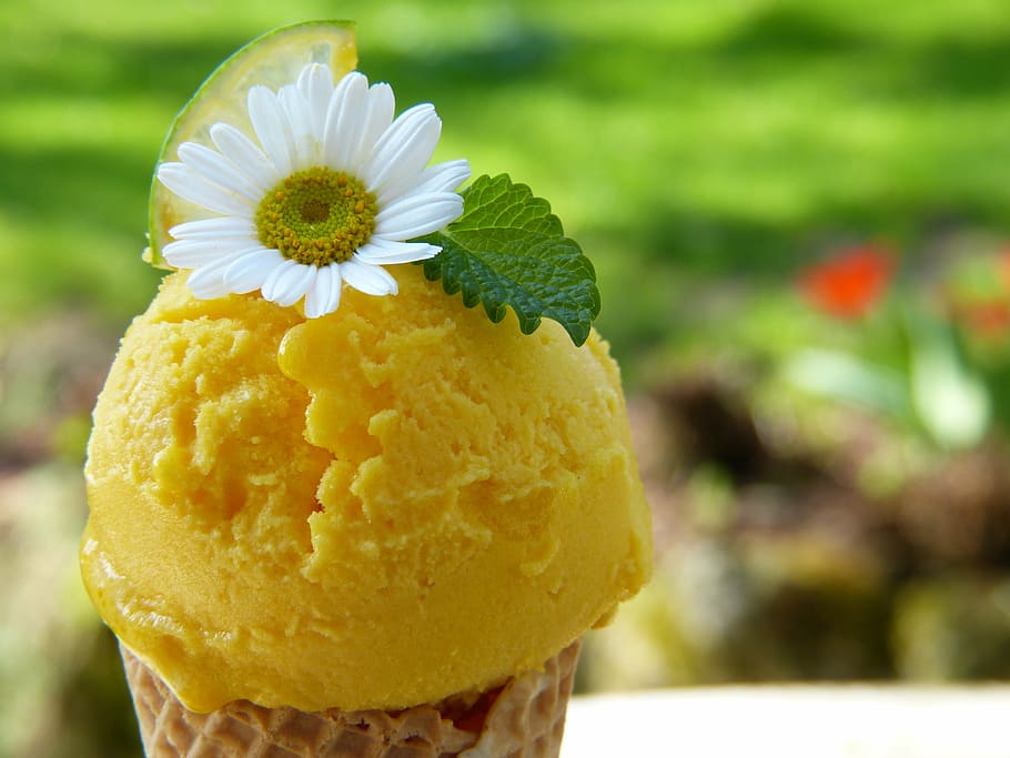 yellow ice cream with flowers, waffle, blossom, bloom, mint, lemon, HD wallpaper