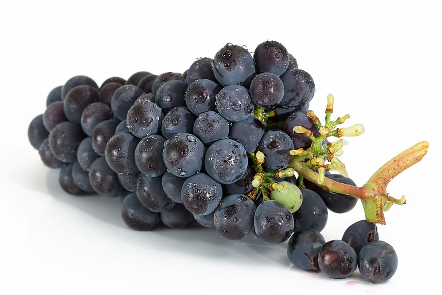 purple grape bundle, grapes, bunch, fruit, viticulture, sweet HD wallpaper