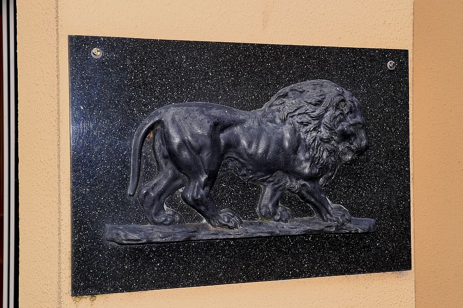 shield, stone, lion, stone lion, hauszierde, animal, mammal HD wallpaper
