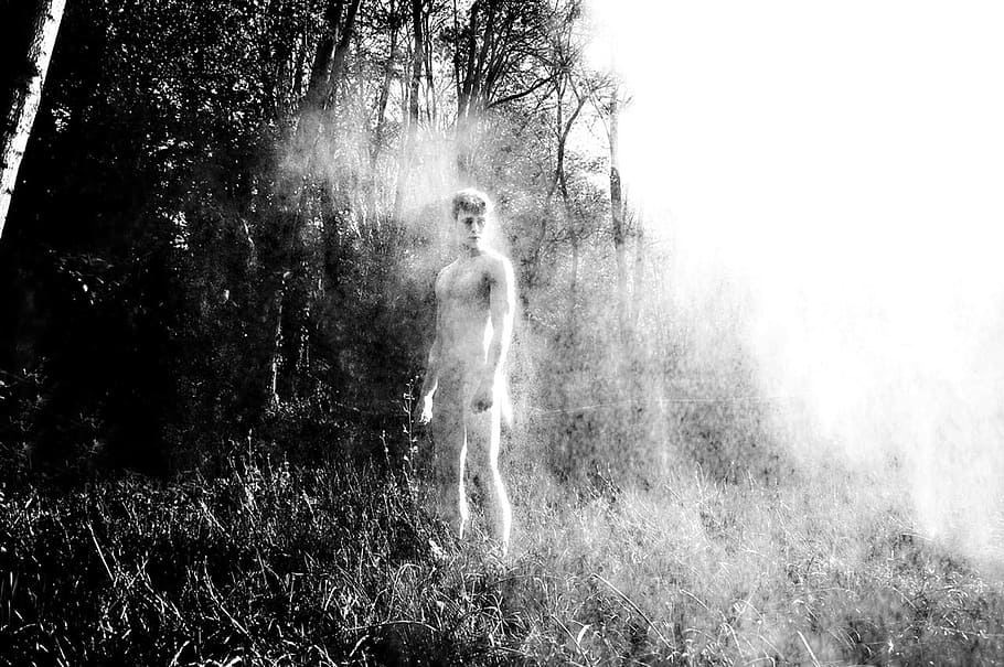 man near trees poster, dust, cloud, fog, spirit, ghost, magic HD wallpaper