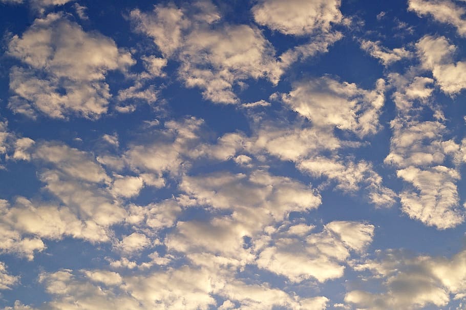 white clouds, blue sky, background image, cumulus clouds, weather HD wallpaper