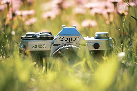 silver Canon AE-1 SLR camera, gray Canon AE-1 camera on green grass HD wallpaper