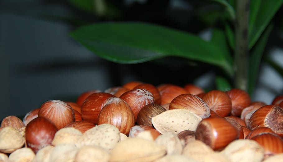 snacks, peanut, delicious, food and drink, nut - food, freshness HD wallpaper