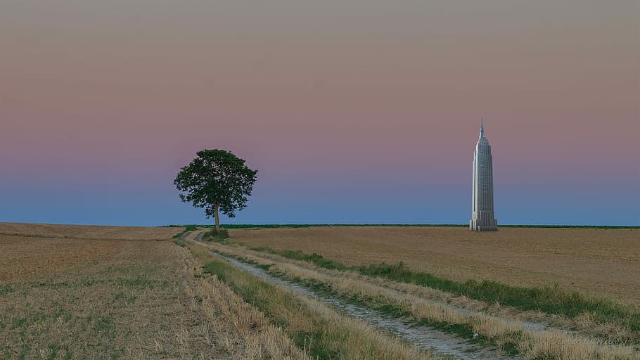 Plain, Tree, Building, Skyscraper, horizon, landscape, field HD wallpaper