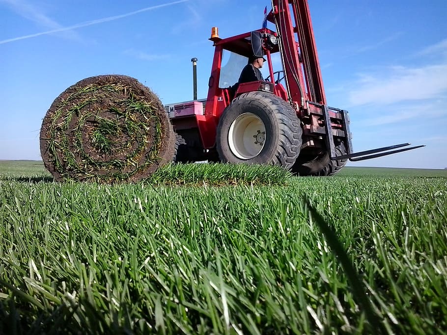 lawn, staffage, roll, land, field, plant, sky, agriculture HD wallpaper