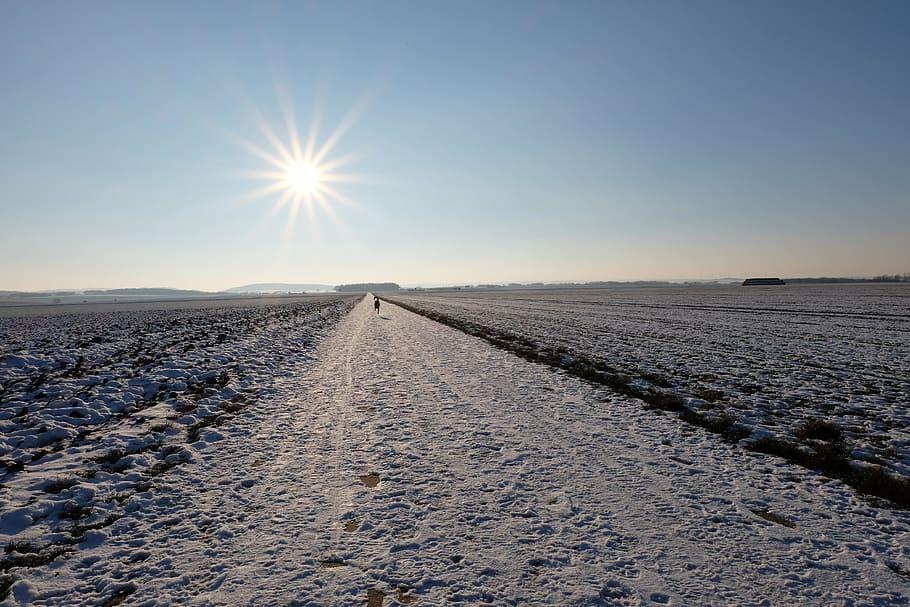 sun, winter, away, blue, sky, snow, back light, cold, sunlight HD wallpaper