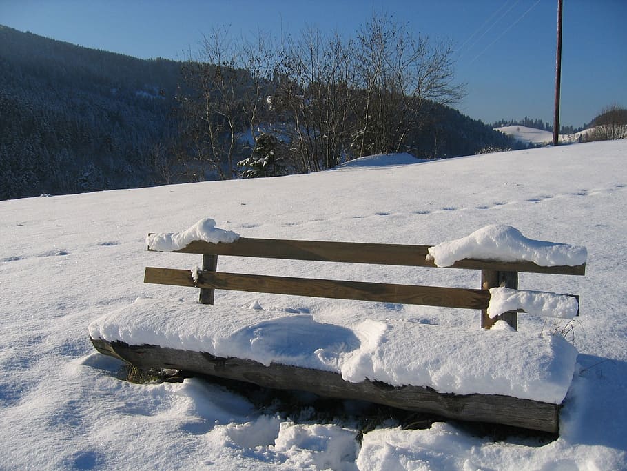black forest, bank, winter, sit, reprint, snow, mountain, cold HD wallpaper