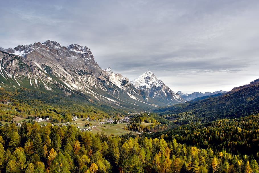 green trees near gray mountain, birds eye view of forest and snowy mountains HD wallpaper