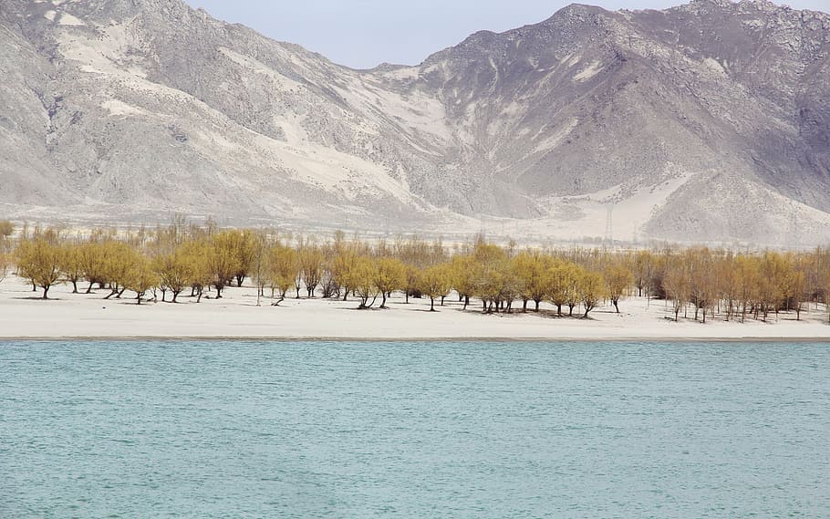 trees near body of water below mountains during daytime, green HD wallpaper