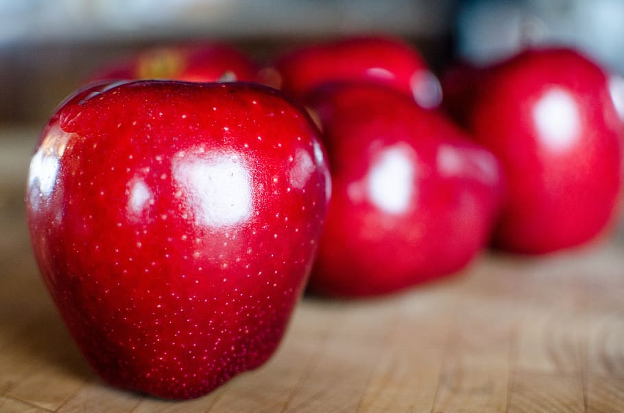 apple, fruit, apples, organic, red, harvest, agriculture, autumn HD wallpaper