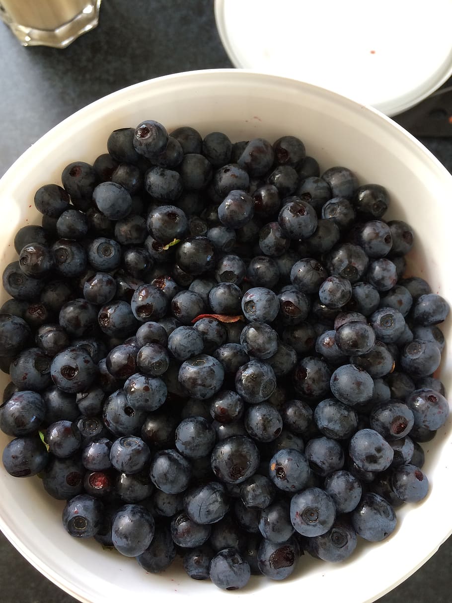 HD wallpaper: blueberries, berry picking, blueberry bucket, food and