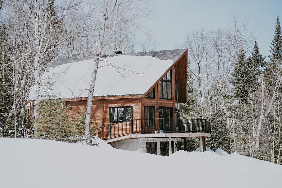 Chalet in the Snow, brown wooden and black 3-story house surrounded by birch tree HD wallpaper