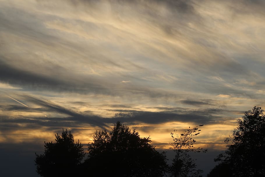 sunset, pink, yellow, clouds, cloudscape, trees, nature, landscape HD wallpaper