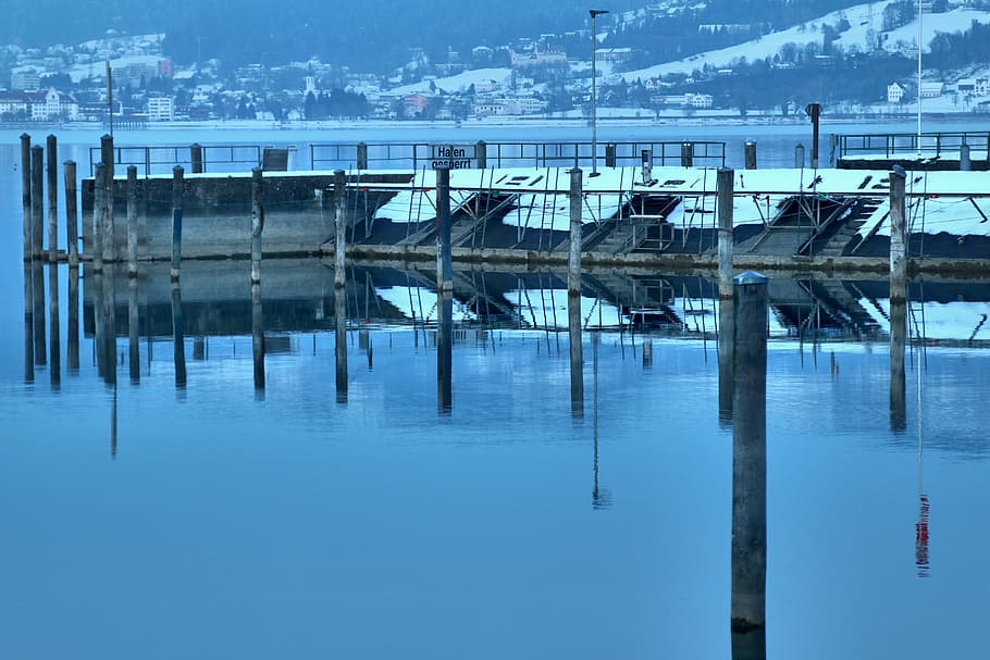lake constance, bregenz, winter, port, cold nature, evening HD wallpaper