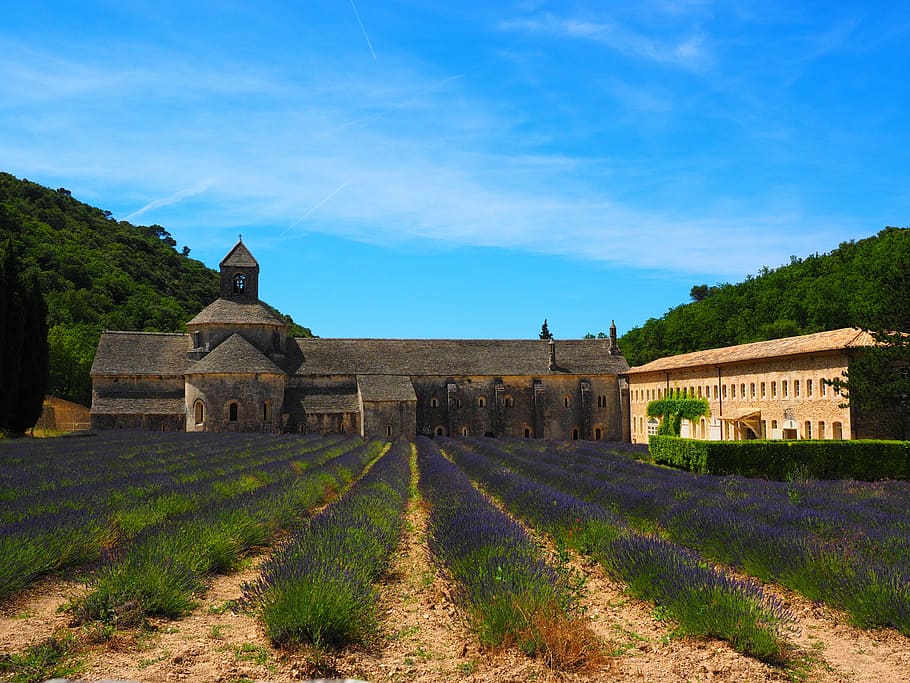 abbaye de sénanque, monastery, abbey, notre dame de sénanque, HD wallpaper