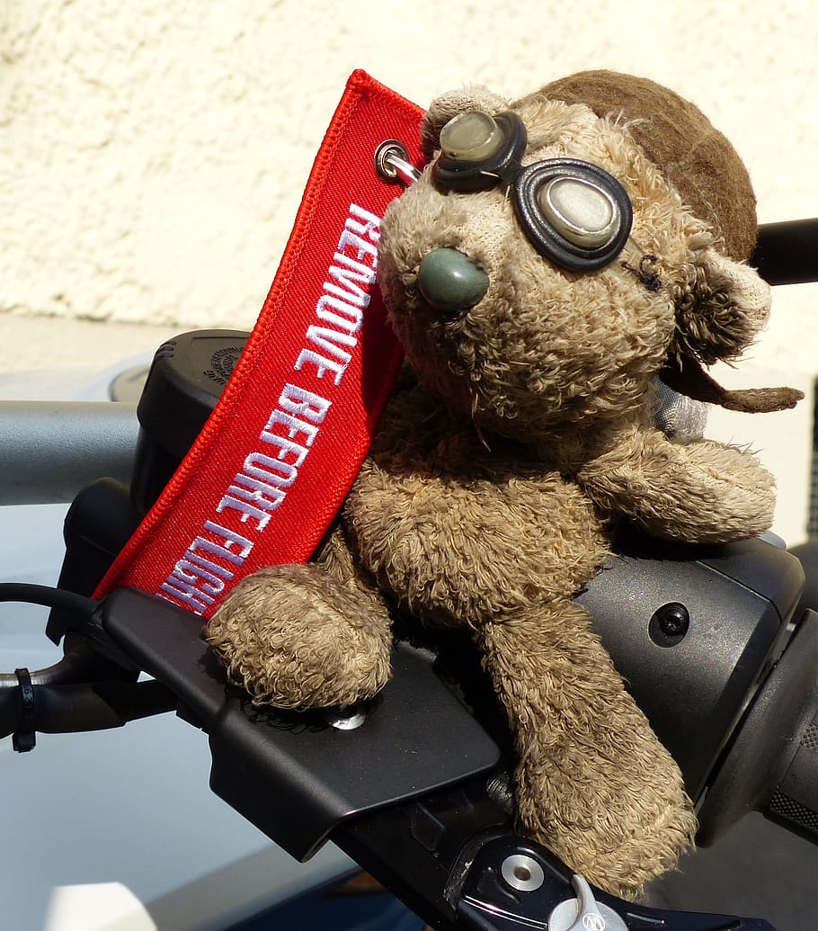 Bear, Motorcycle, Glasses, remove before flight, brown, vintage HD wallpaper